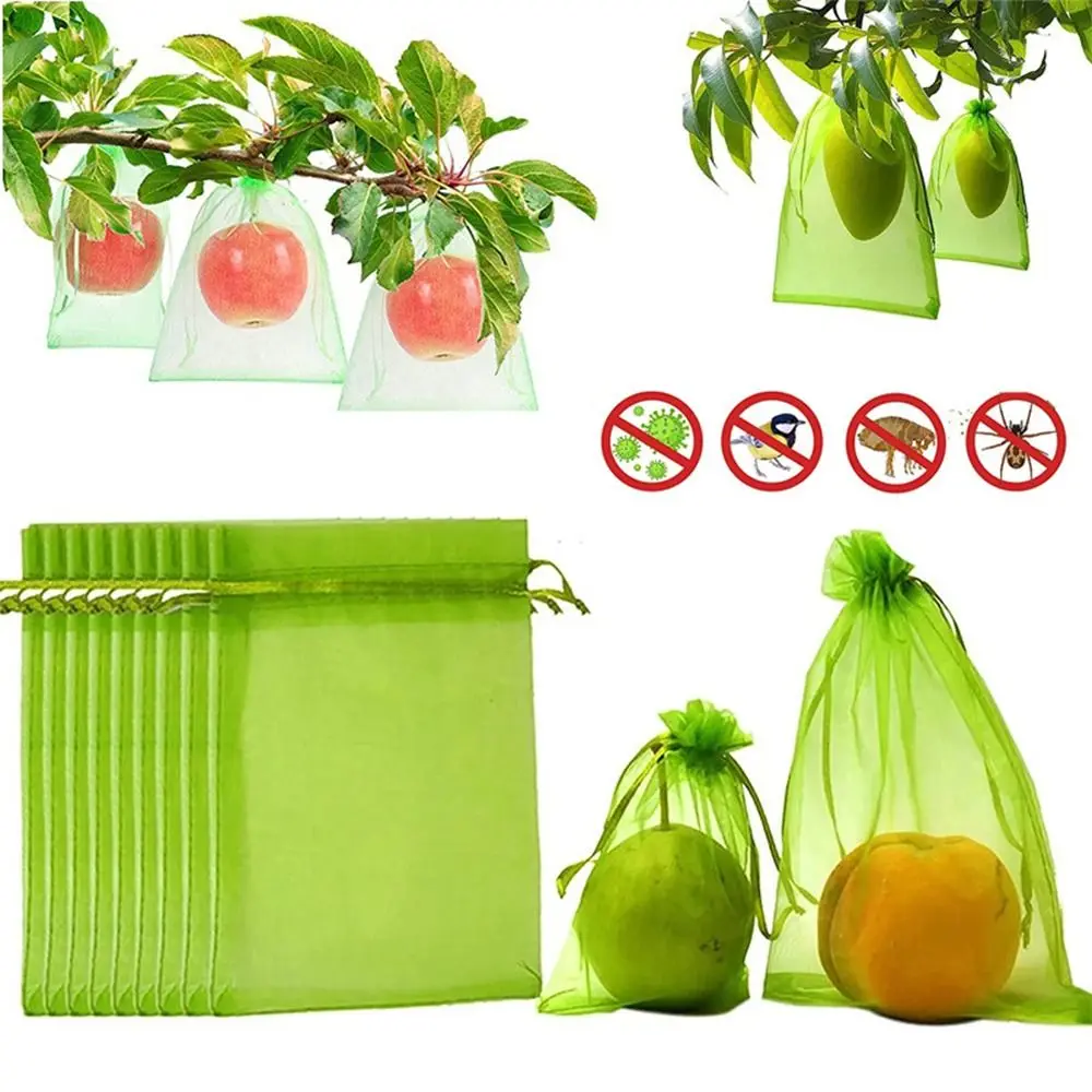 Plant Flower Vegetable Anti Insect Fruit Protection Fruit Net Bags Plant Protection Bag Plant Caver Bags Mesh Protect Bag
Plant Flower Vegetable Anti Insect Fruit Protection Fruit Net Bags Plant Protection Bag Plant Caver Bags Mesh Protect Bag