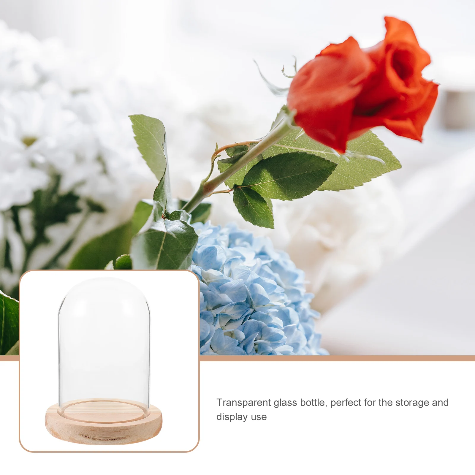 Glass Dome Display Case Clear Cloche Preserved Flower Cover Vase Craft Decor Landscape Home nament Stone Art Container
Glass Dome Display Case Clear Cloche Preserved Flower Cover Vase Craft Decor Landscape Home nament Stone Art Container