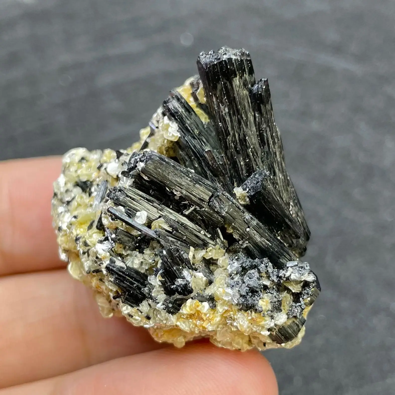 Natural Raw Stone Black Tourmaline Mineral Specimen Quartz Crystal Healing Teaching Collection Home Decor Gift Namibia
Natural Raw Stone Black Tourmaline Mineral Specimen Quartz Crystal Healing Teaching Collection Home Decor Gift Namibia