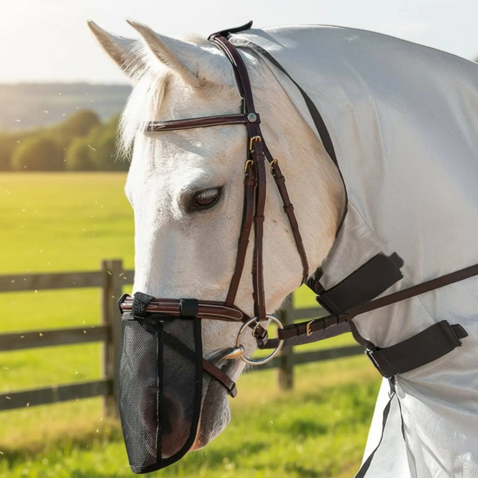 Horse Nose Guard Lightweight Horse Muzzle Mesh Equine Anti-Fly Mask Veterinarian Recommended Equine Gear Bridle Compatible
Horse Nose Guard Lightweight Horse Muzzle Mesh Equine Anti-Fly Mask Veterinarian Recommended Equine Gear Bridle Compatible