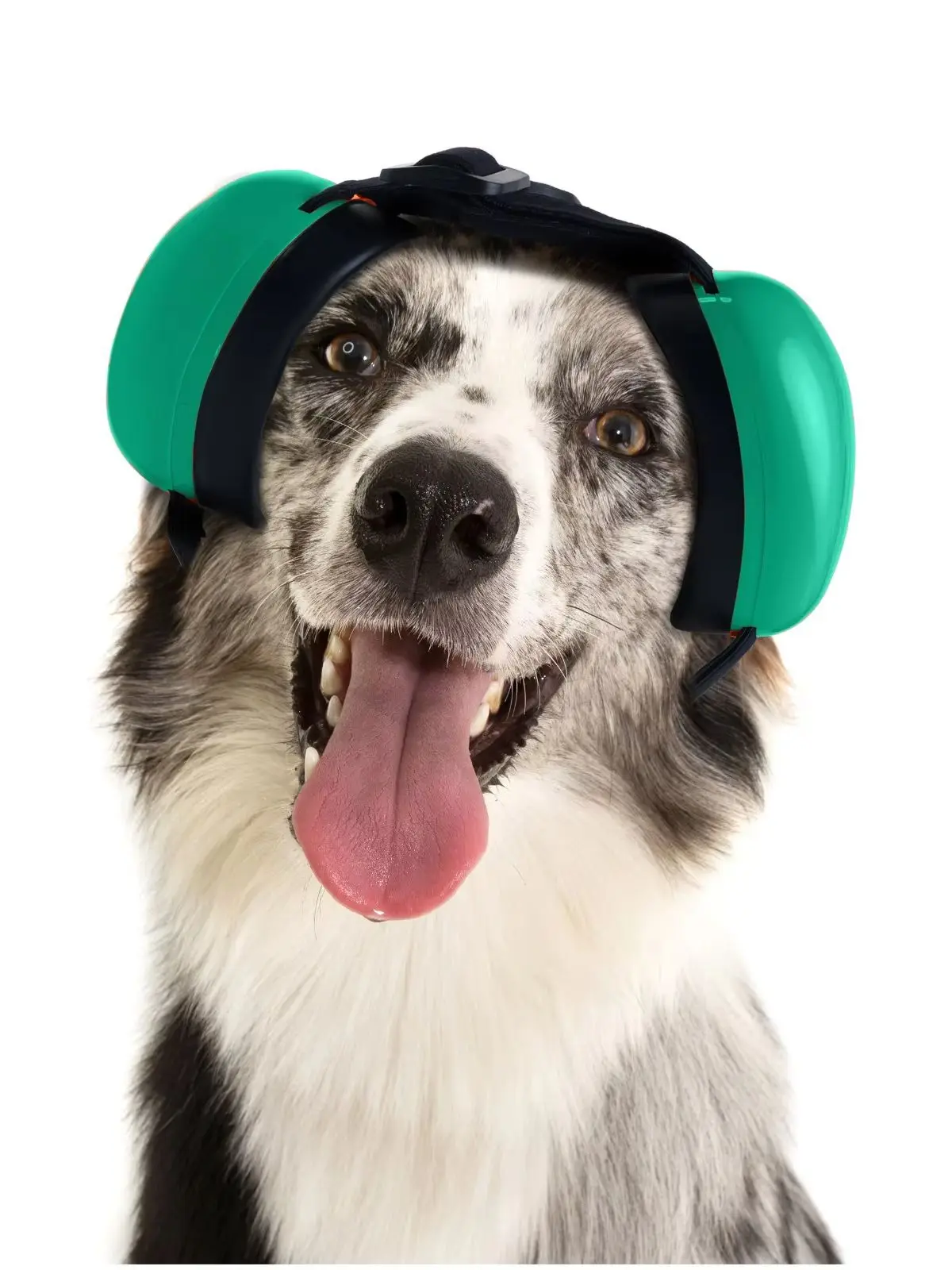 Olyga Adjustable Dog Earmufts - Noise Reduction, Comfortable Quiet Head Cover,Calming Earmuffs, Suitable for Bathing,Thunder
Olyga Adjustable Dog Earmufts - Noise Reduction, Comfortable Quiet Head Cover,Calming Earmuffs, Suitable for Bathing,Thunder