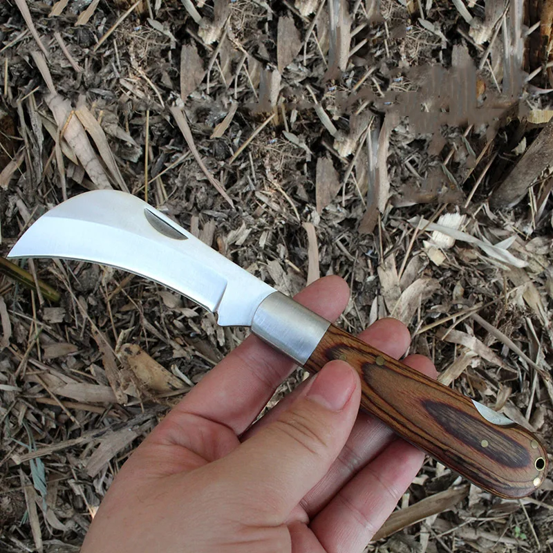Stanless Steel Harvesting And Fruit Picking Knife Meat Cleaver Vegetable Fruit Knife Peelig Knives Kitchen Outdoor Cooking Tool
Stanless Steel Harvesting And Fruit Picking Knife Meat Cleaver Vegetable Fruit Knife Peelig Knives Kitchen Outdoor Cooking Tool