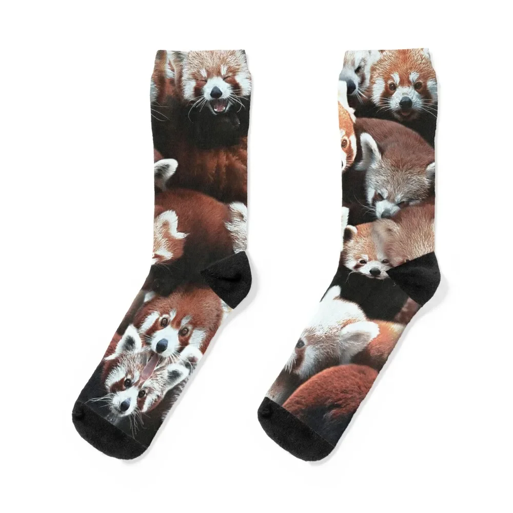 Красные зимние теплые рождественские Цветочные носки для мужчин и женщин
Красные зимние теплые рождественские Цветочные носки для мужчин и женщин