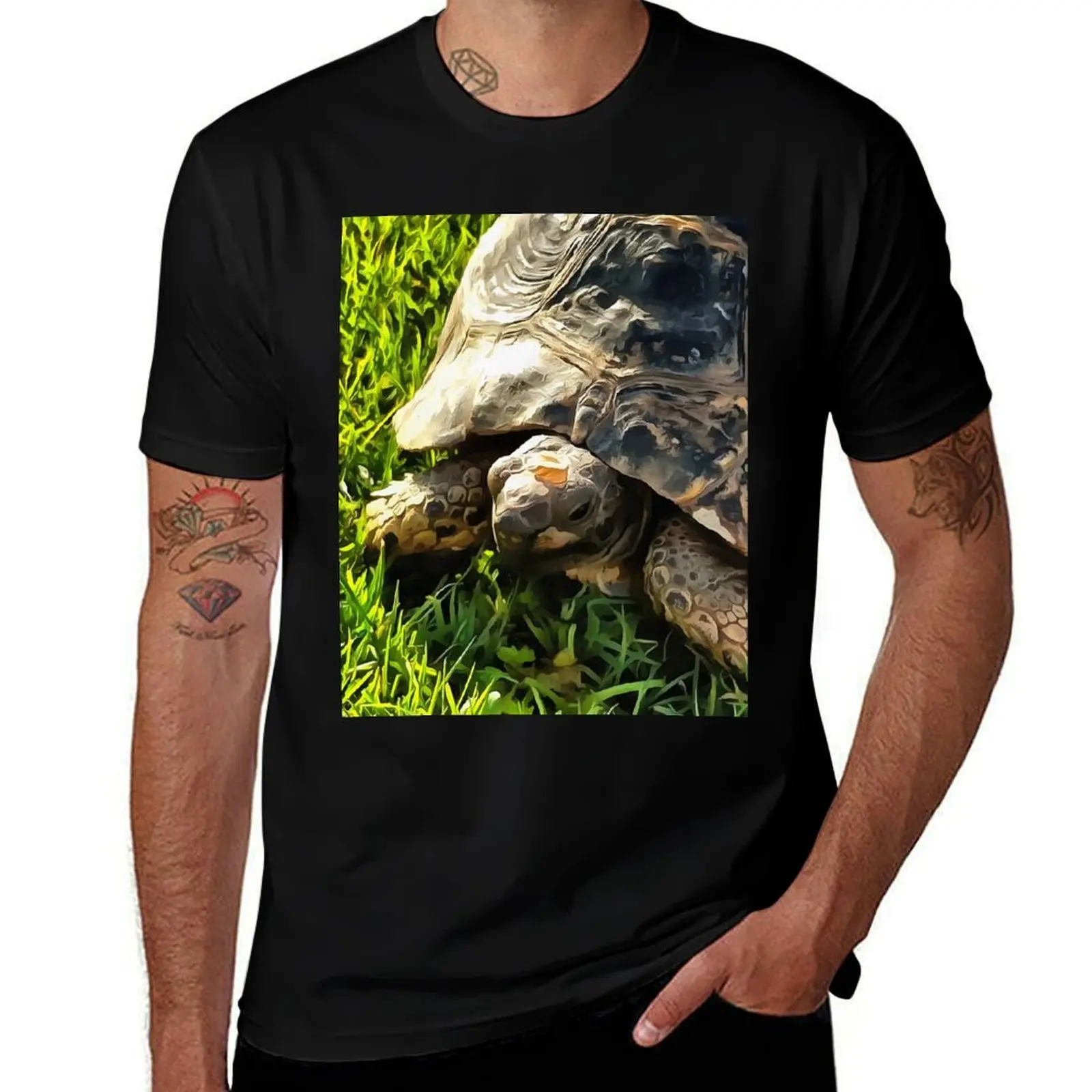 Wild Tortoise In Grass Meadow Wildlife Art T-Shirt boys whites baggy shirts football t shirt boys animal print men tshirt
Wild Tortoise In Grass Meadow Wildlife Art T-Shirt boys whites baggy shirts football t shirt boys animal print men tshirt