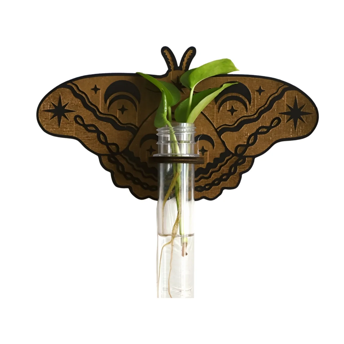 HHTL Butterfly Wall Mounted Breeding Station, Wooden Hanging Plant Holders, Indoor Plants with Plastic Tubes, A
HHTL Butterfly Wall Mounted Breeding Station, Wooden Hanging Plant Holders, Indoor Plants with Plastic Tubes, A