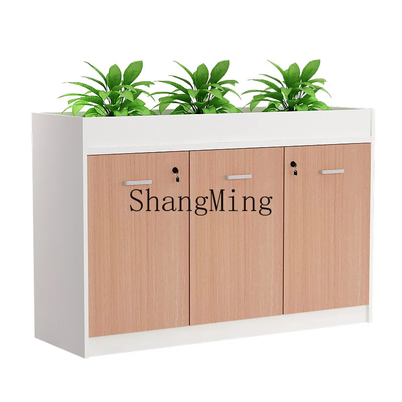 DSA office solid wood partition file cabinet storage with lock window cabinet
DSA office solid wood partition file cabinet storage with lock window cabinet