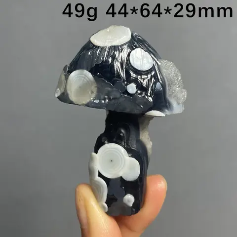 Natural Raw Mushroom Eye Crystal Healing Stone for Home Decor Unique Teaching Collection Gift Raw Crystal Eye Stone