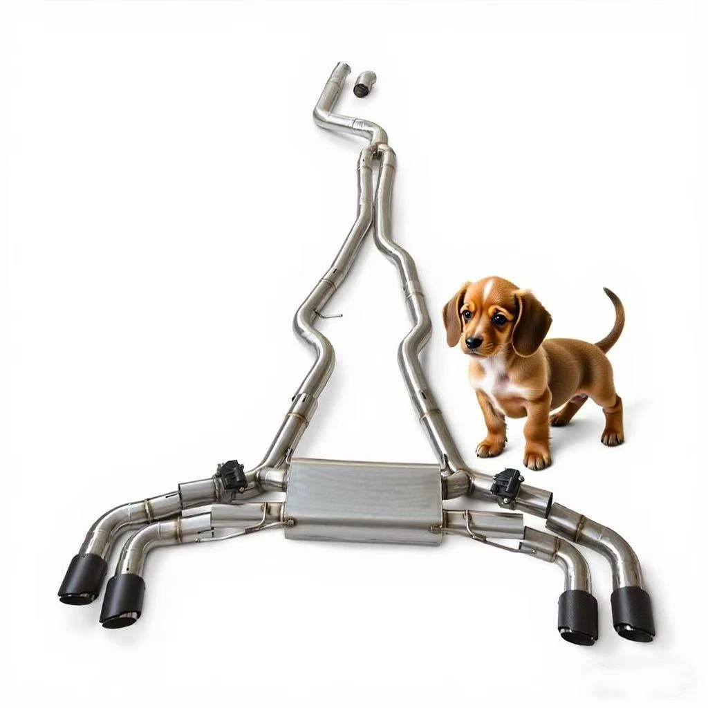 Клапан Catback Выхлоп для BMW M340iM340 3.0T глушитель выхлопной трубы из нержавеющей стали Выхлопная система Спортивный автомобиль Модификация звука
Клапан Catback Выхлоп для BMW M340iM340 3.0T глушитель выхлопной трубы из нержавеющей стали Выхлопная система Спортивный автомобиль Модификация звука