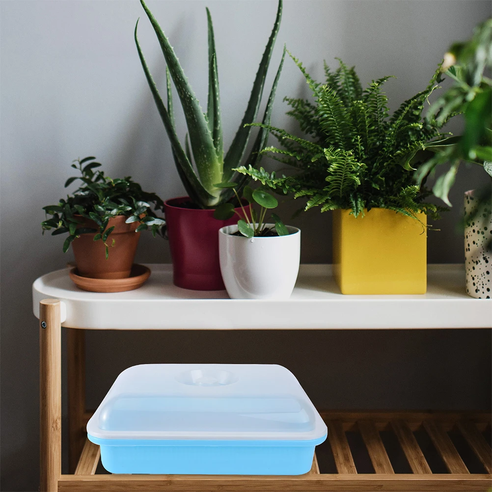 2 set 2 Sets Multicolor Seedling Trays with Cover Durable Resin Vegetable Starter Plant Grow GardeningAccessory Fits Windowsill
2 set 2 Sets Multicolor Seedling Trays with Cover Durable Resin Vegetable Starter Plant Grow GardeningAccessory Fits Windowsill