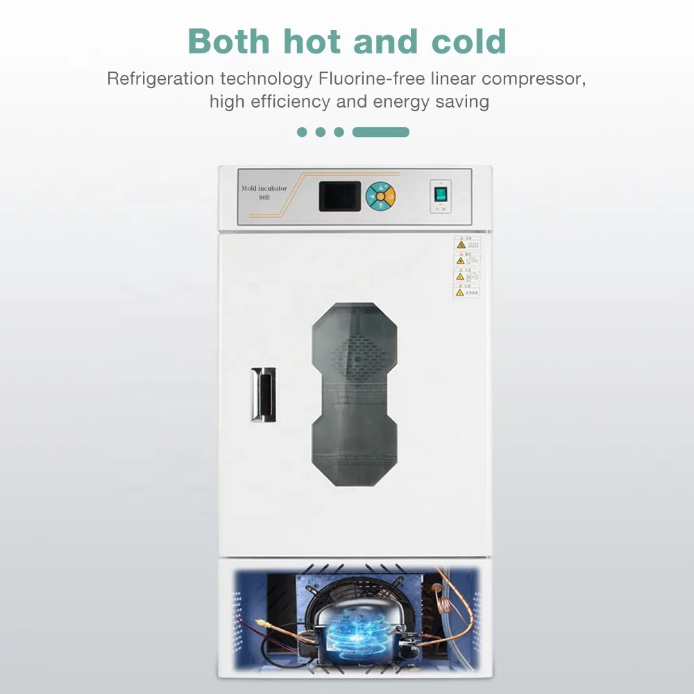 Лабораторный инкубатор емкостью 150 л для бактерий и форм — биохимический инкубатор с постоянной температурой
Лабораторный инкубатор емкостью 150 л для бактерий и форм — биохимический инкубатор с постоянной температурой