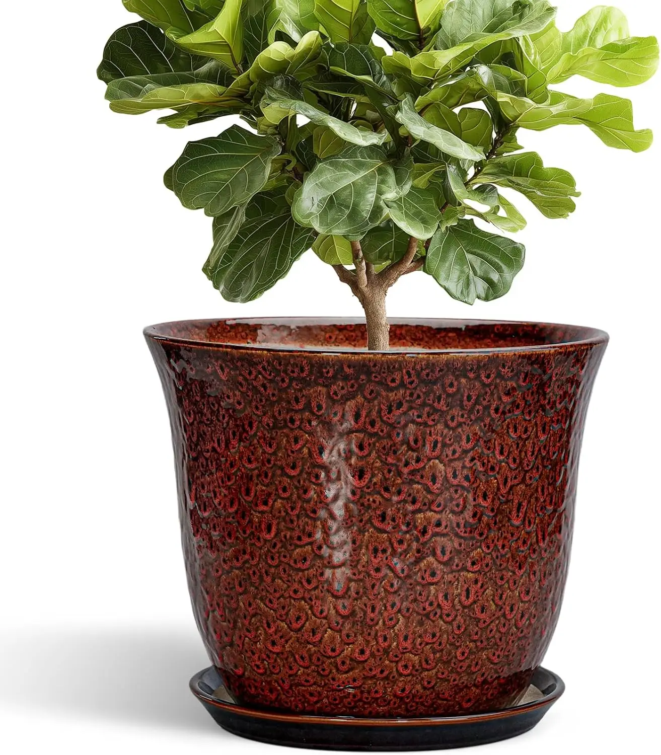 12" Ceramic Plant Pot with Saucer - Modern Red Planter for Indoor/Outdoor, Large Decorative Flower Pot with Drainage Hole
12" Ceramic Plant Pot with Saucer - Modern Red Planter for Indoor/Outdoor, Large Decorative Flower Pot with Drainage Hole