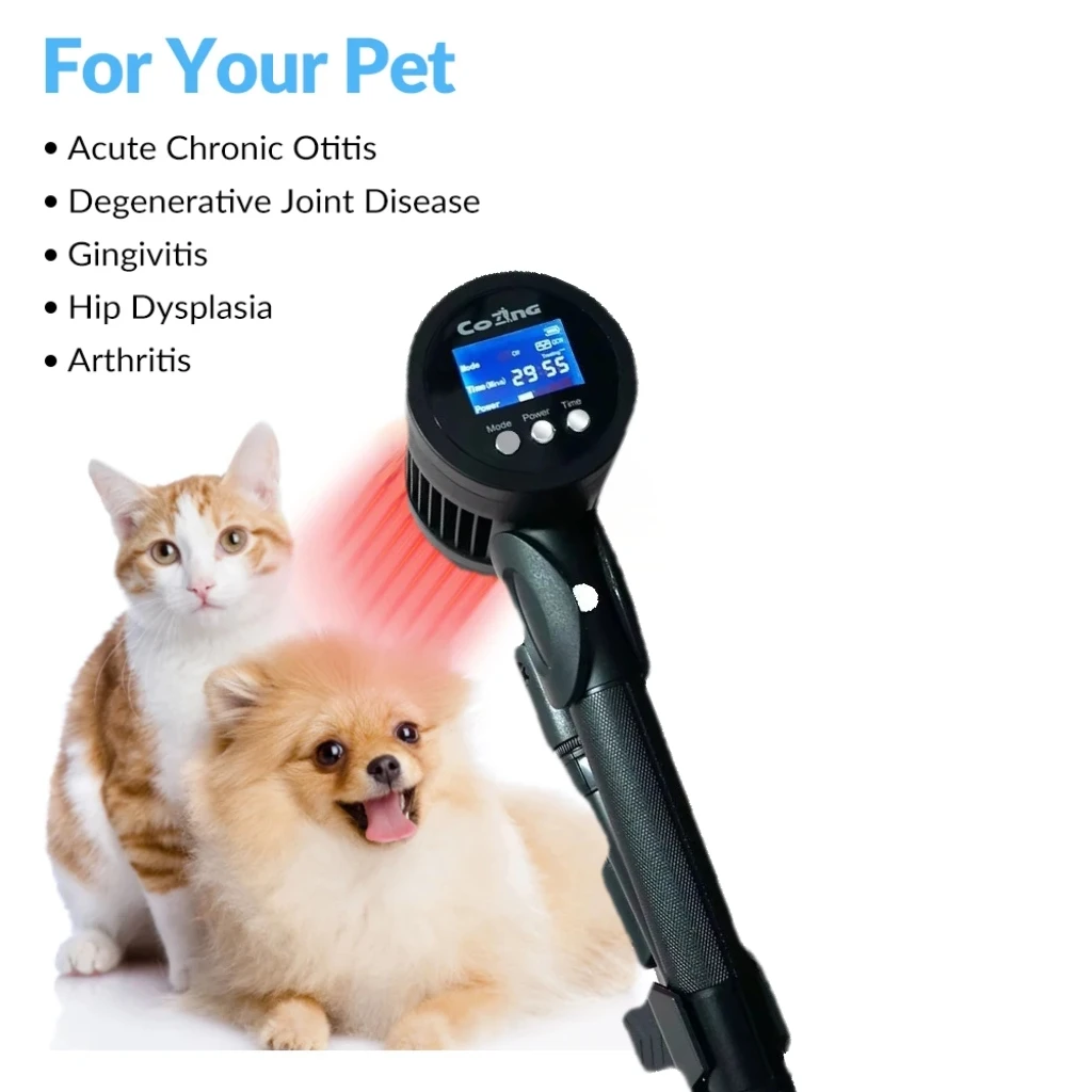 Cold Laser Relieve for Dogs Joint Pain Skin Disease 650nm 808nm 25 Diodes Red Light Therapy Device for Pets Pain Relief
Cold Laser Relieve for Dogs Joint Pain Skin Disease 650nm 808nm 25 Diodes Red Light Therapy Device for Pets Pain Relief