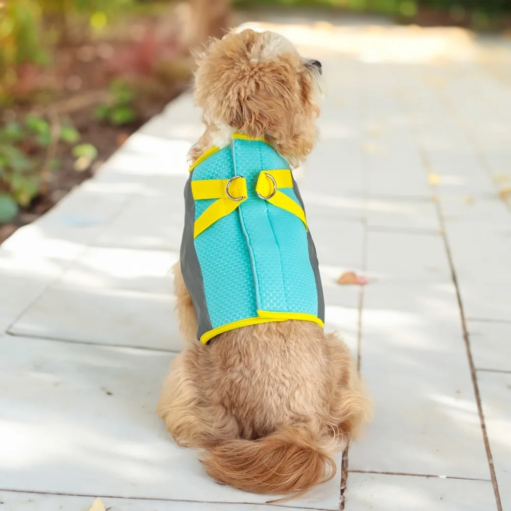 Summer Dog Cooling Vest Sun Protection Cooling Comfortable Pet Short T-Shirt Mesh Breathable Pet Dog Clothes
Summer Dog Cooling Vest Sun Protection Cooling Comfortable Pet Short T-Shirt Mesh Breathable Pet Dog Clothes