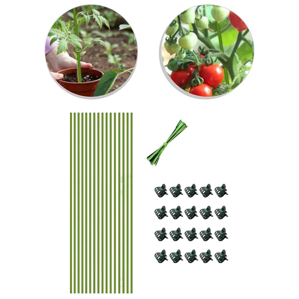Garden Clips 40*0.3*0.3cm Orchid Support Robust Material Versatile Support Adjustable Height Easy Installation
Garden Clips 40*0.3*0.3cm Orchid Support Robust Material Versatile Support Adjustable Height Easy Installation