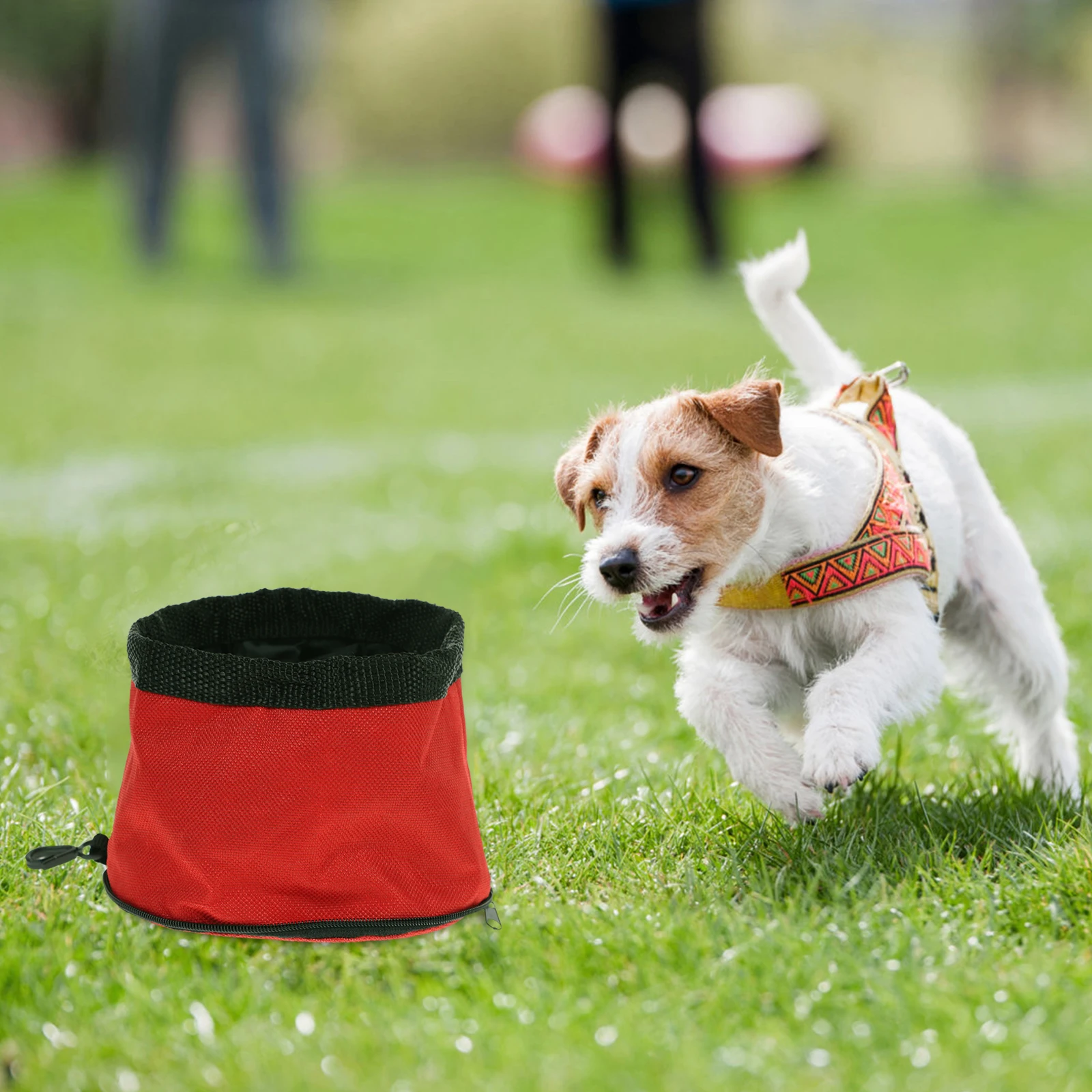 2 Pcs Waterproof Dog Bowl Mat Collapsable Camping Cloth Bowls Double Wall Cup Colapsable Portable Cat Travel
2 Pcs Waterproof Dog Bowl Mat Collapsable Camping Cloth Bowls Double Wall Cup Colapsable Portable Cat Travel