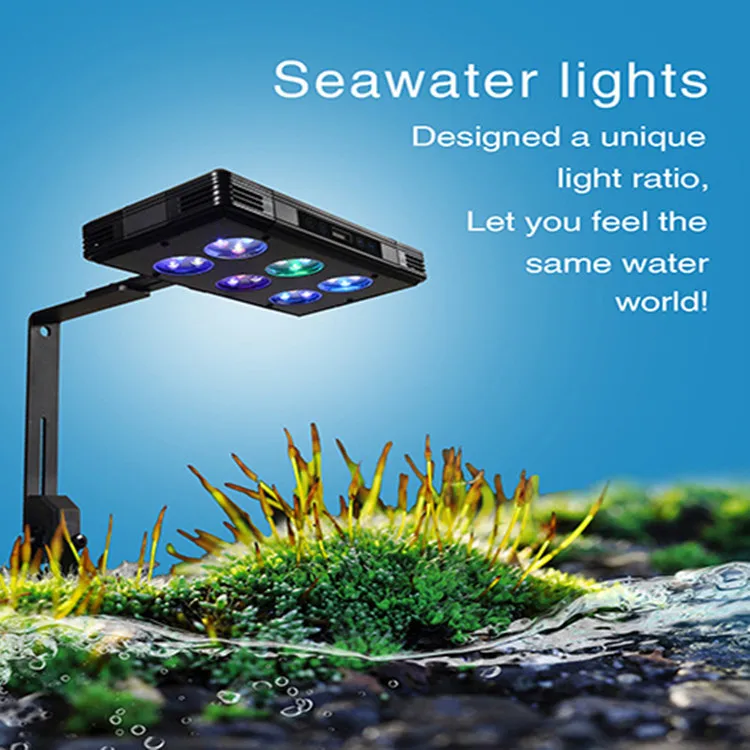 High Power LED Full Spectrum Aquarium Light Intelligent Temperature Control Touch Screen Red Emission Blue CCT Color Temperature
High Power LED Full Spectrum Aquarium Light Intelligent Temperature Control Touch Screen Red Emission Blue CCT Color Temperature