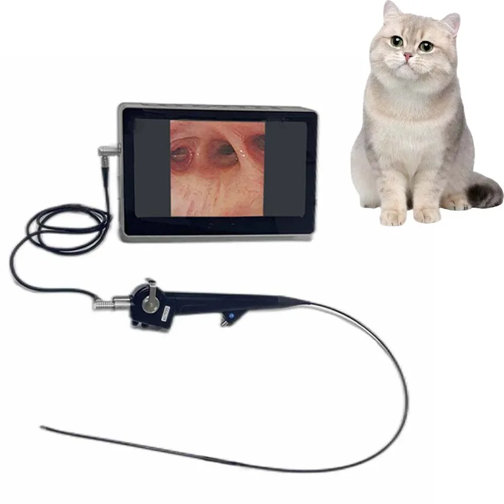 Veterinary Portable Video Bronchoscope Equipment Medical Flexible Endosco for Pet Animals
Veterinary Portable Video Bronchoscope Equipment Medical Flexible Endosco for Pet Animals