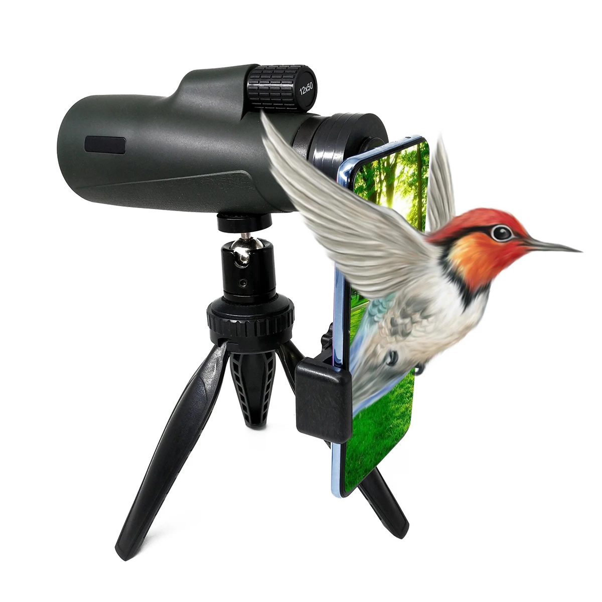 10x42 Monocular Dual Focus Optics Zoom Telescope with handstrap for Birds Watching
10x42 Monocular Dual Focus Optics Zoom Telescope with handstrap for Birds Watching
