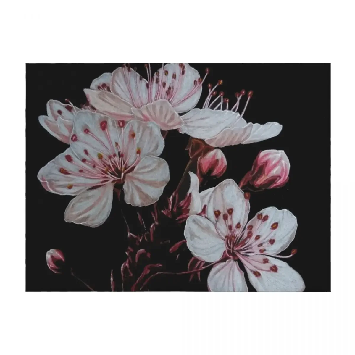 Cherry Blossom Throw Blanket Travel Fashion Sofas warm for winter cosplay anime Blankets
Cherry Blossom Throw Blanket Travel Fashion Sofas warm for winter cosplay anime Blankets
