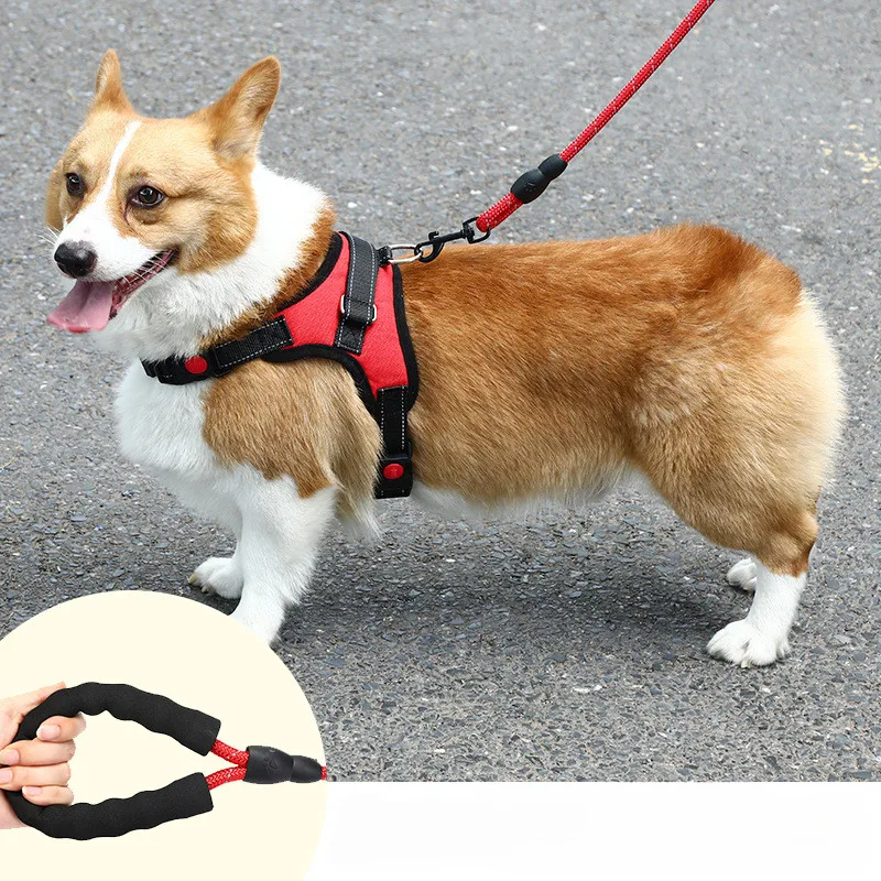 Saddle Dog Harness Reflective Adjustable Pet Harness No Pull Walking Training Small Large Big Dogs Chest Strap Product
Saddle Dog Harness Reflective Adjustable Pet Harness No Pull Walking Training Small Large Big Dogs Chest Strap Product