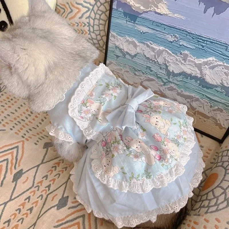 Pet Princess Dresses cat skirt Cute Apron Dress Lace Floral Pink Dog Dress for Teddy Small Dogs Puppy Clothes pink girl mascots
Pet Princess Dresses cat skirt Cute Apron Dress Lace Floral Pink Dog Dress for Teddy Small Dogs Puppy Clothes pink girl mascots