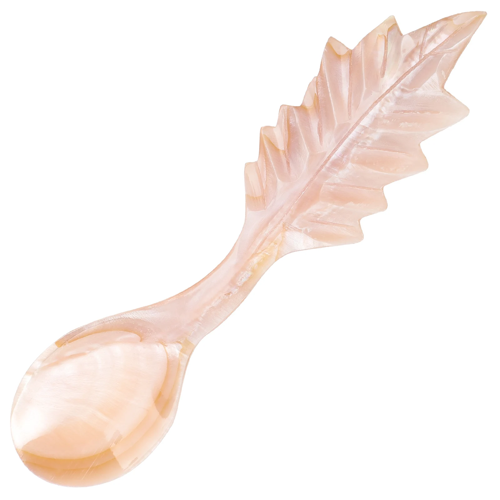 Caviar Spoon Seashell Dessert Spoons Natural Shell Material Long Lasting Fine Workmanship Smooth Handle Comfortable Grip
Caviar Spoon Seashell Dessert Spoons Natural Shell Material Long Lasting Fine Workmanship Smooth Handle Comfortable Grip