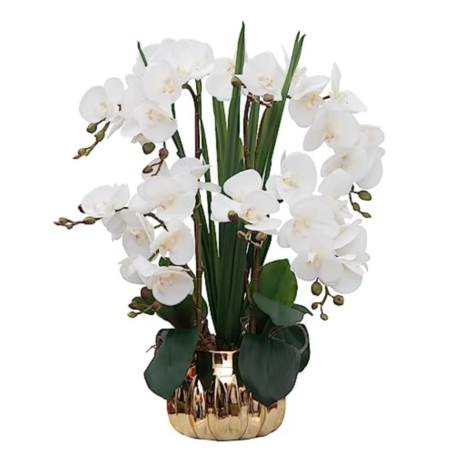 Home indoor decor: ceramic vase with white phalaenopsis faux orchids, real-touch artificial flowers, 22.9-inch large realistic
Home indoor decor: ceramic vase with white phalaenopsis faux orchids, real-touch artificial flowers, 22.9-inch large realistic