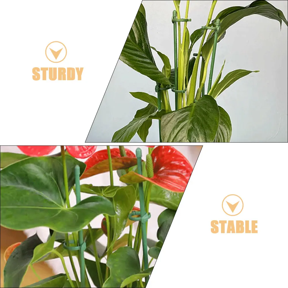 1Set Plant Support Stakes Durable Stable Plant Supports for Indoor Outdoor Flower Plants Peony Gardening Supplies
1Set Plant Support Stakes Durable Stable Plant Supports for Indoor Outdoor Flower Plants Peony Gardening Supplies