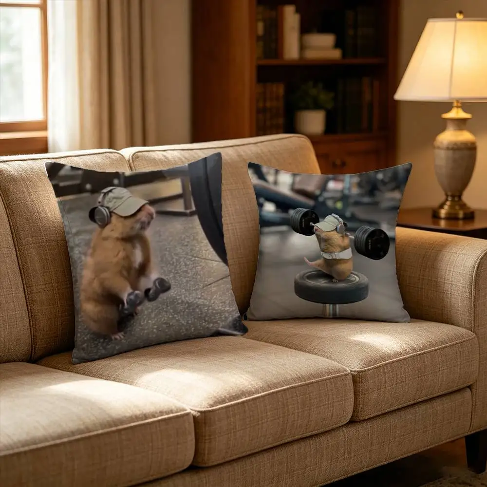 Cute G-Gym H-Hamster Pillow Case for Sofa Living Room Home office Decor Protective Cover
Cute G-Gym H-Hamster Pillow Case for Sofa Living Room Home office Decor Protective Cover
