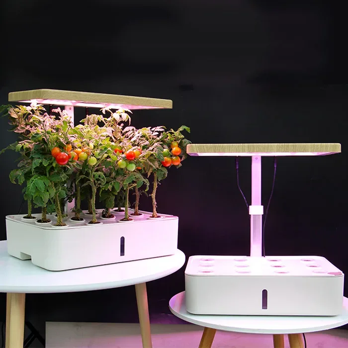 Top quality Hydroponics Growing System with LED Grow Light, Smart Garden Planter for Home Kitchen, Automatic Timer Germination
Top quality Hydroponics Growing System with LED Grow Light, Smart Garden Planter for Home Kitchen, Automatic Timer Germination