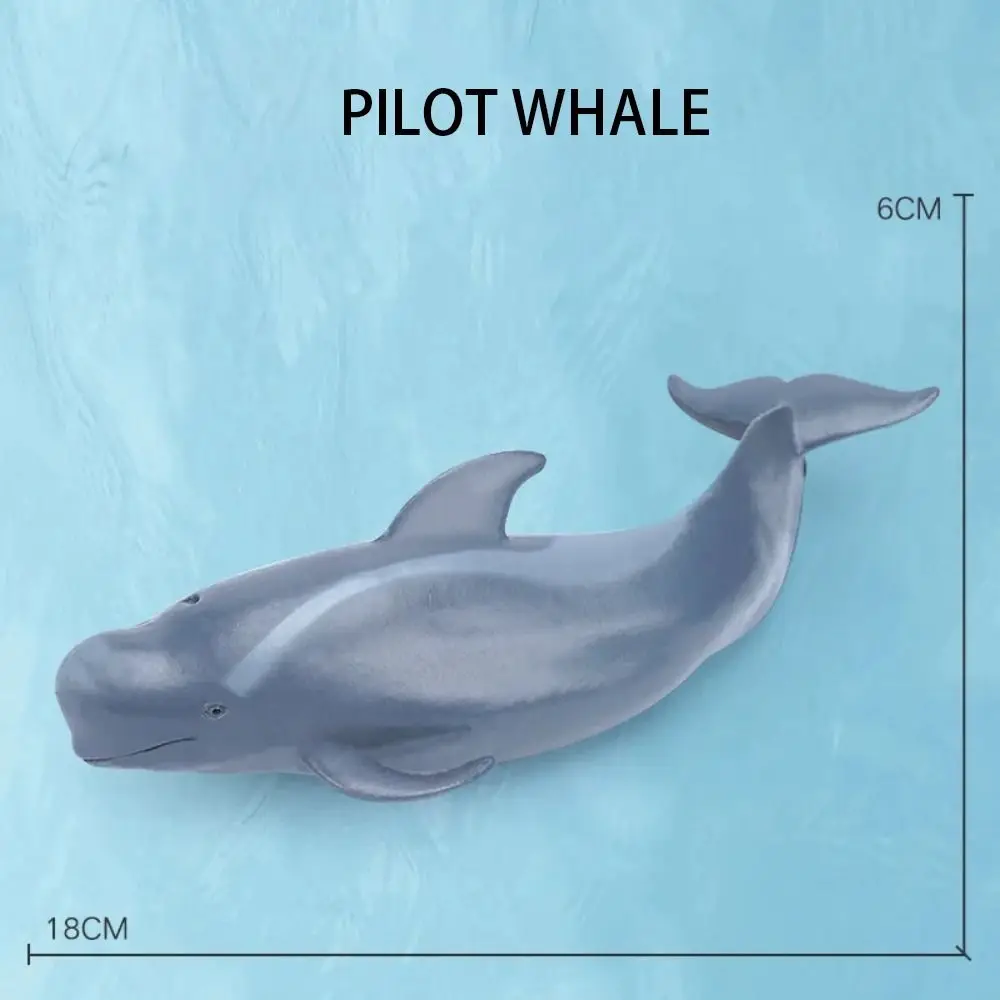 Marine Animals Simulation Sea Life Shark Cachalot PVC Whale Figurines Dolphin Hammerhead Educational Toys Ocean Action Figures
Marine Animals Simulation Sea Life Shark Cachalot PVC Whale Figurines Dolphin Hammerhead Educational Toys Ocean Action Figures