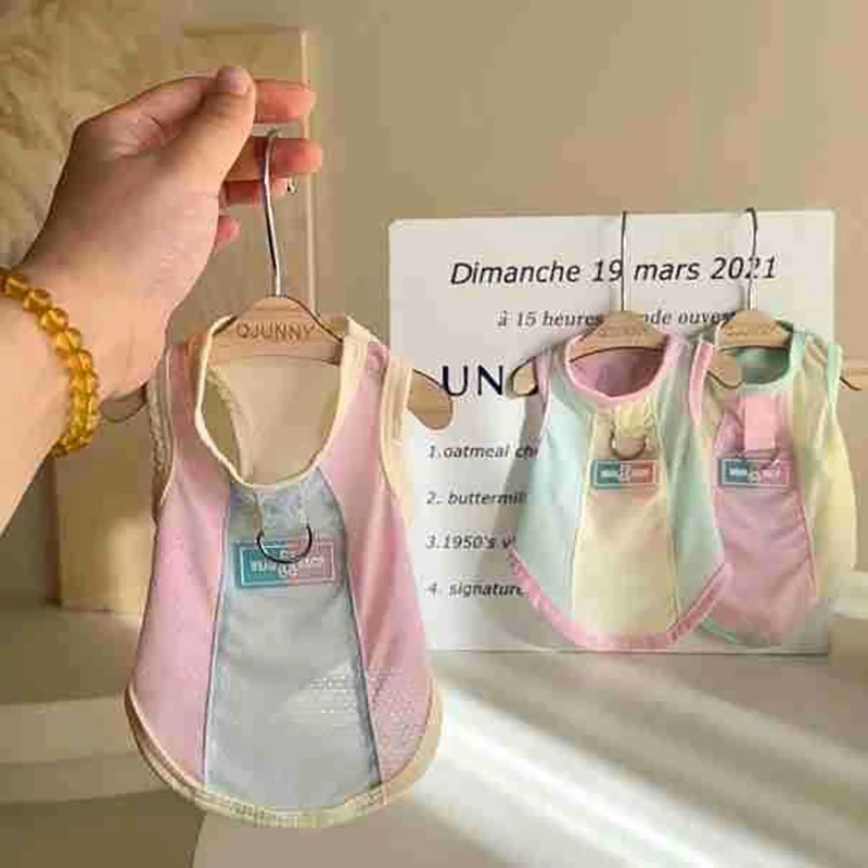 Pet Dog Clothes Summer Ice Silk Teddy T-shirt Small and Medium Dogs Breathable Leashable Vests XS-XL
Pet Dog Clothes Summer Ice Silk Teddy T-shirt Small and Medium Dogs Breathable Leashable Vests XS-XL