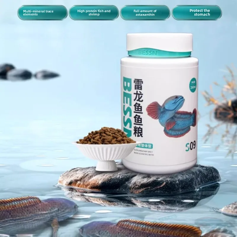 BESSN Channa Pro Formula-Color-Intensifying Sinking Pellets for Golden Cobra&Rainbow Snakeheads|Carnivore Diet Astaxanthin&Krill
BESSN Channa Pro Formula-Color-Intensifying Sinking Pellets for Golden Cobra&Rainbow Snakeheads|Carnivore Diet Astaxanthin&Krill