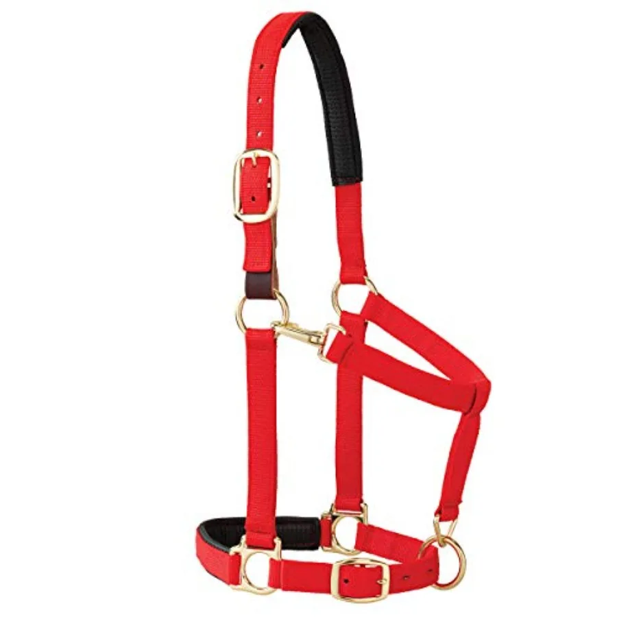 Breakaway Horse Halter, Comfort Foam Padding, Adjustable Chin and Throat Snap Halters for Horses, Equine Tack, Average Size, Re
Breakaway Horse Halter, Comfort Foam Padding, Adjustable Chin and Throat Snap Halters for Horses, Equine Tack, Average Size, Re