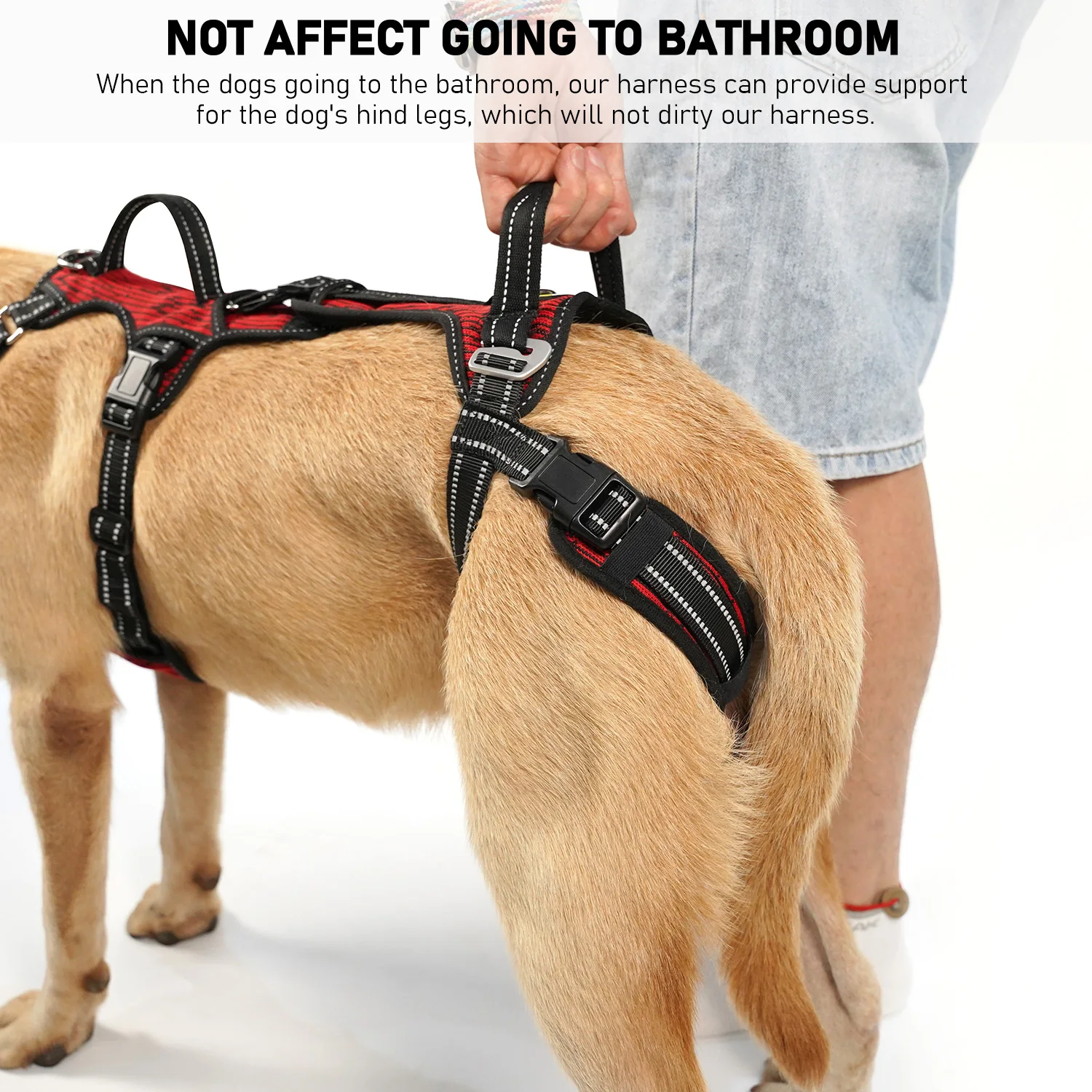 COODEO шлейка для собак, светоотражающая мягкая дышащая шлейка для собак, прогулочный поводок для маленьких, средних и больших собак, S/M/L/XL, красный
COODEO шлейка для собак, светоотражающая мягкая дышащая шлейка для собак, прогулочный поводок для маленьких, средних и больших собак, S/M/L/XL, красный