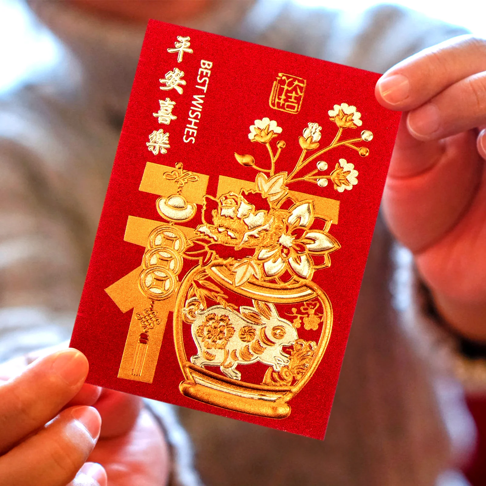 60 Pcs Money Bag Lai Feng Spring Festival Chinese Pocket Universal Red Envelope
60 Pcs Money Bag Lai Feng Spring Festival Chinese Pocket Universal Red Envelope