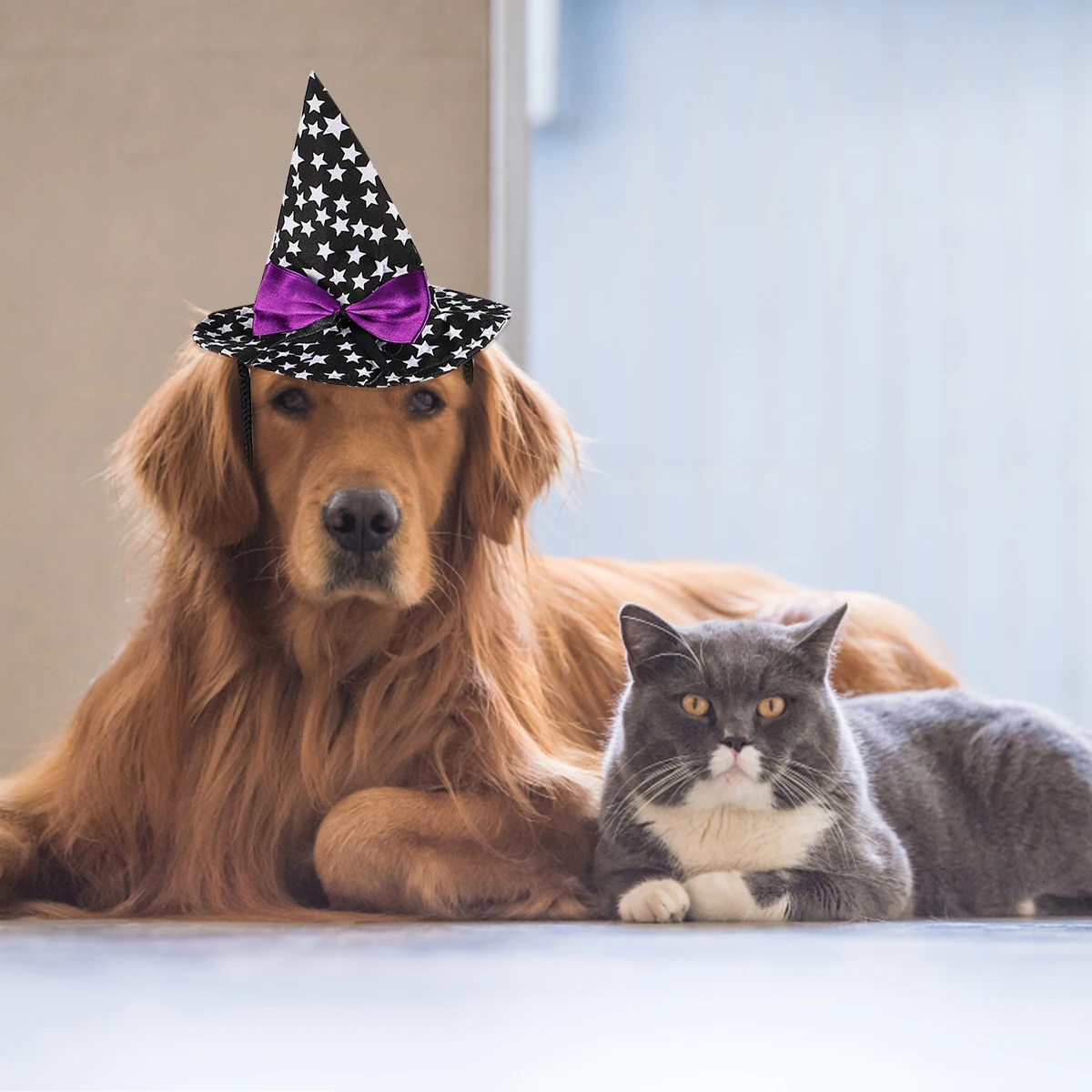 Halloween Wizard Hat For Dog Pet Costume Supplies Accessory Durable Premium Easy Wear D0127
Halloween Wizard Hat For Dog Pet Costume Supplies Accessory Durable Premium Easy Wear D0127