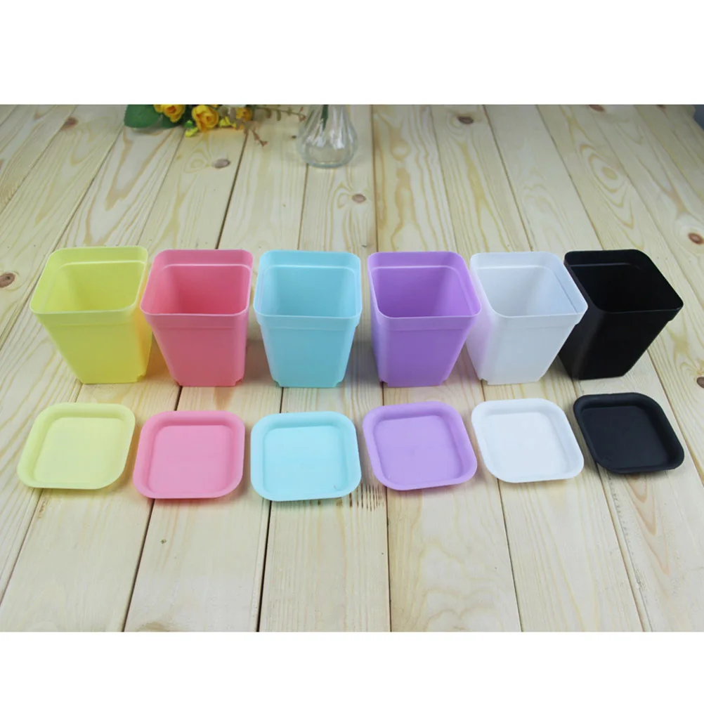 10Pcs Square Mini Plastic Succulent Plant Pots 7cm Decorative Flower Pot Office Garden Supplies Purple 
10Pcs Square Mini Plastic Succulent Plant Pots 7cm Decorative Flower Pot Office Garden Supplies Purple