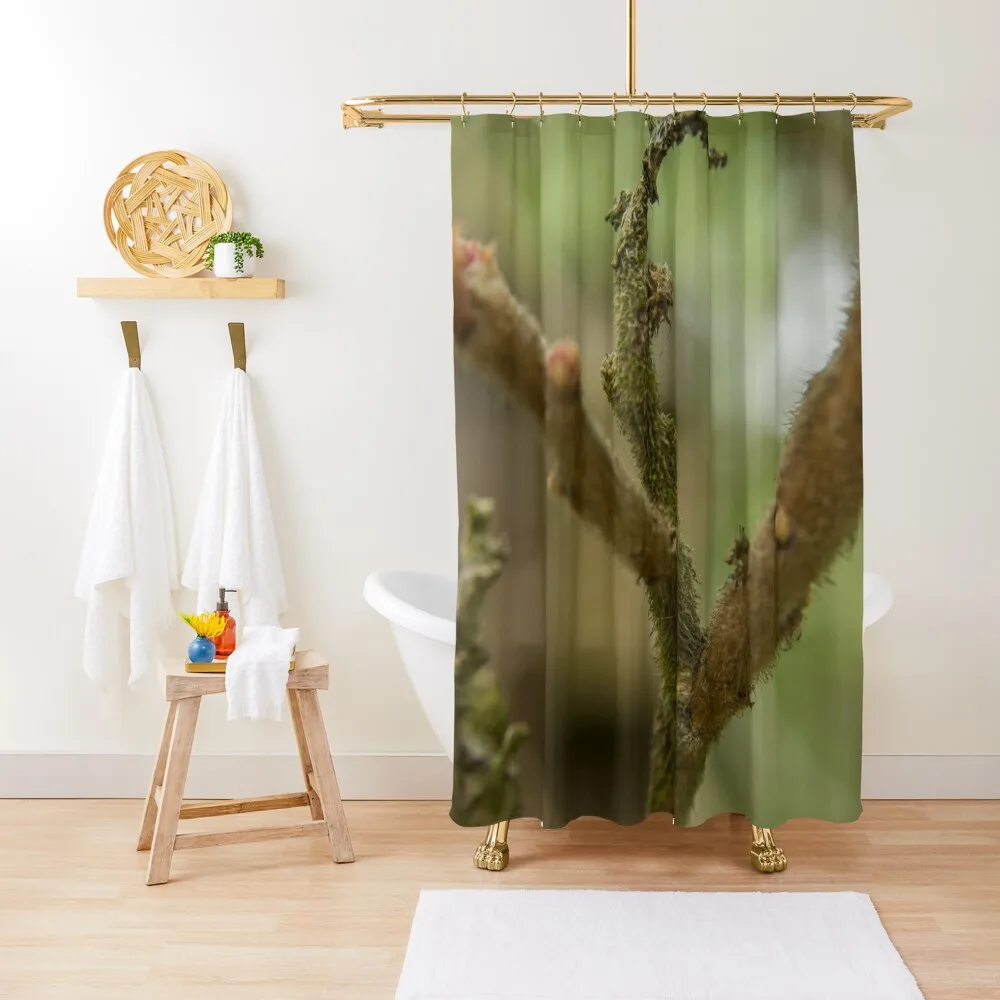 Tree Branches Shower Curtain Shower For Bathrooms Bathroom And Shower Products Curtain
Tree Branches Shower Curtain Shower For Bathrooms Bathroom And Shower Products Curtain