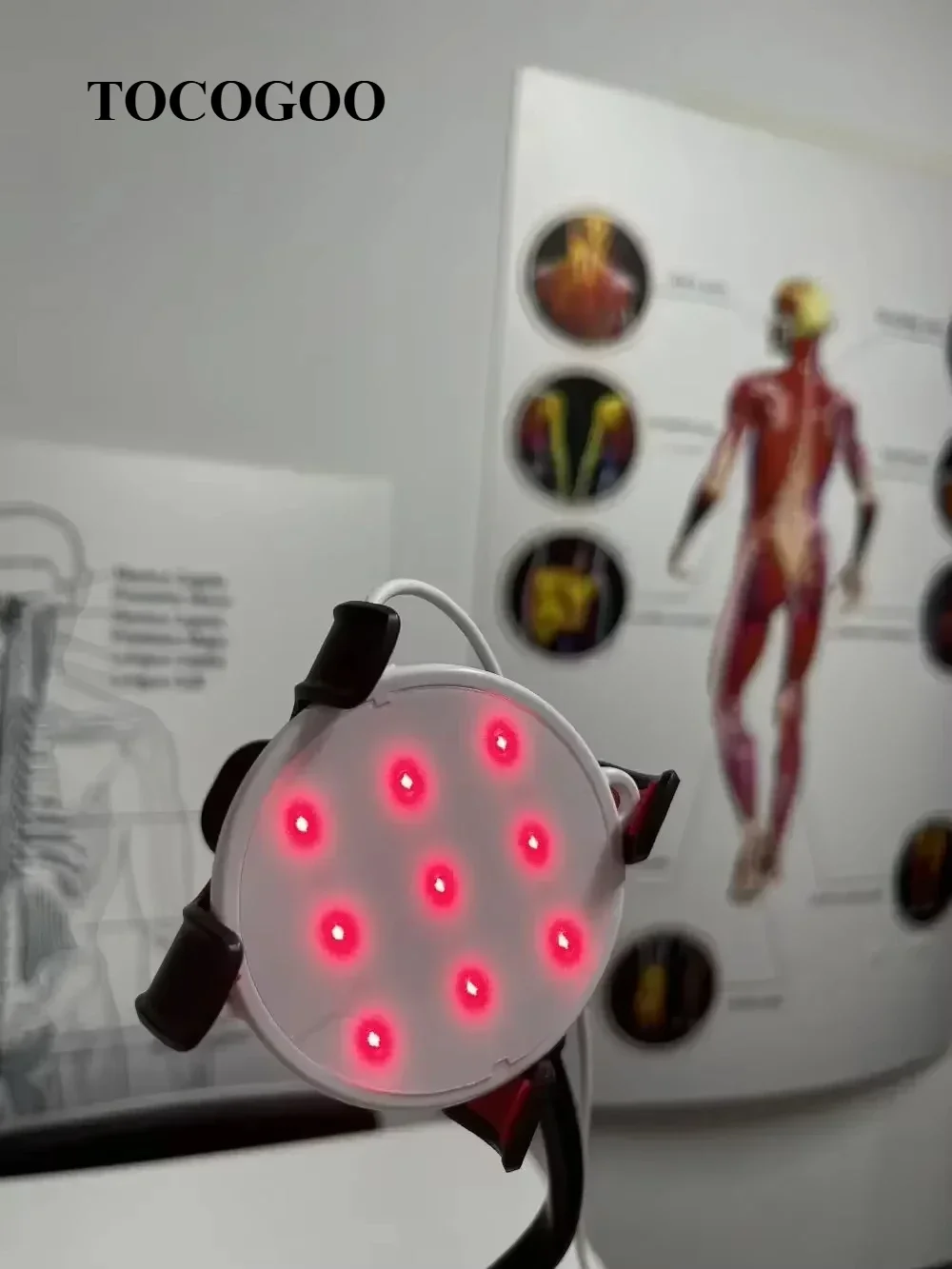650nm*9 LLLT Cold Laser Therapy Device for Pets and Human Joint Body Pain Relief Arthritis Red Light Physiotherapy Equipment
650nm*9 LLLT Cold Laser Therapy Device for Pets and Human Joint Body Pain Relief Arthritis Red Light Physiotherapy Equipment