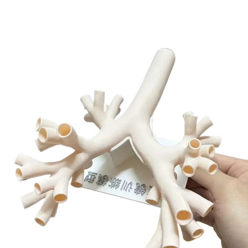 Bronchoscopic Training Model - Level 4 Lung Fibrobronchoscopy Model - Fibrous Practice At Level 4
Bronchoscopic Training Model - Level 4 Lung Fibrobronchoscopy Model - Fibrous Practice At Level 4