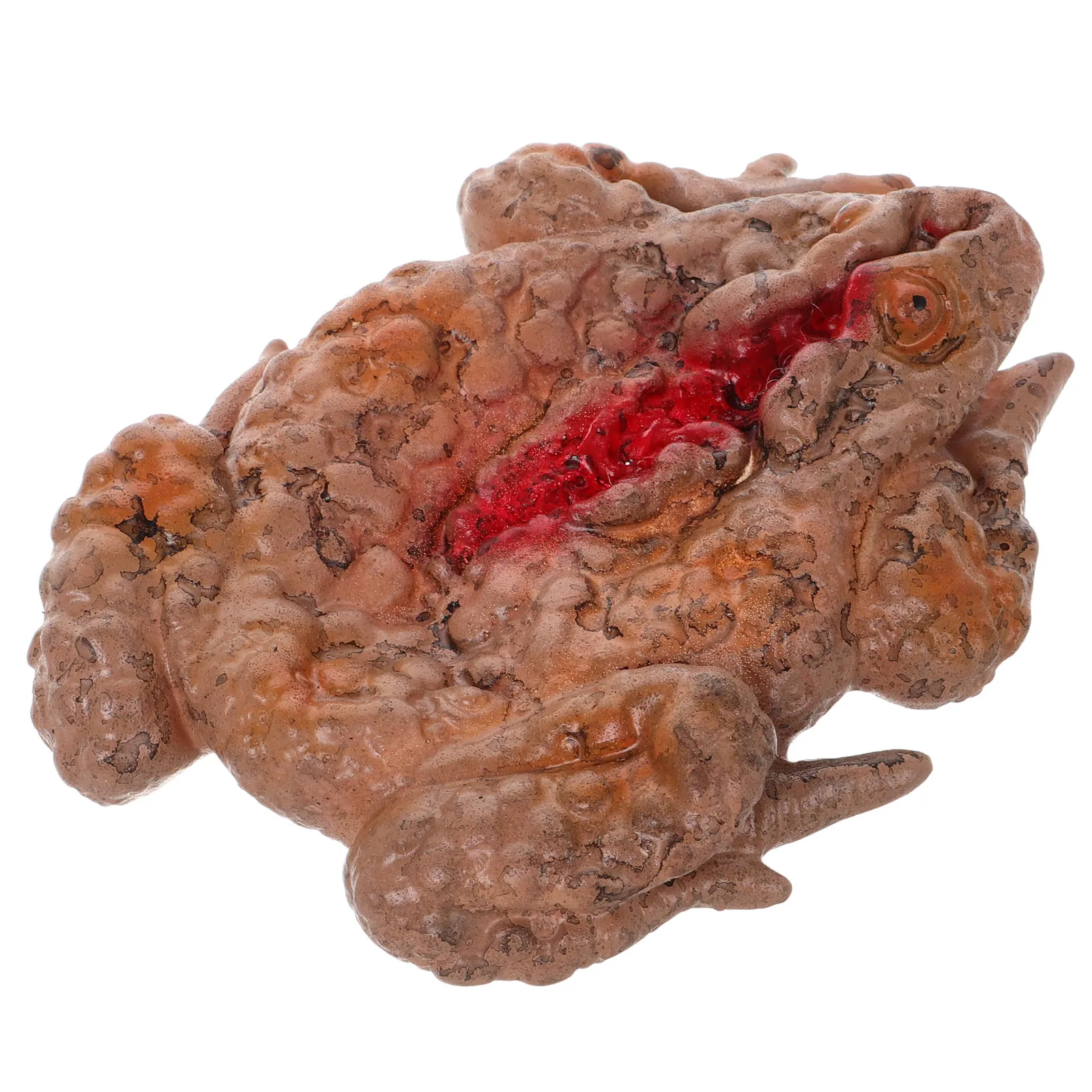 Страшная реалистичная большая лягушка-жаба: реквизит для розыгрышей, имитация, декор для вечеринки на Хэллоуин, дома ужасов, с кровавыми пятнами
Страшная реалистичная большая лягушка-жаба: реквизит для розыгрышей, имитация, декор для вечеринки на Хэллоуин, дома ужасов, с кровавыми пятнами