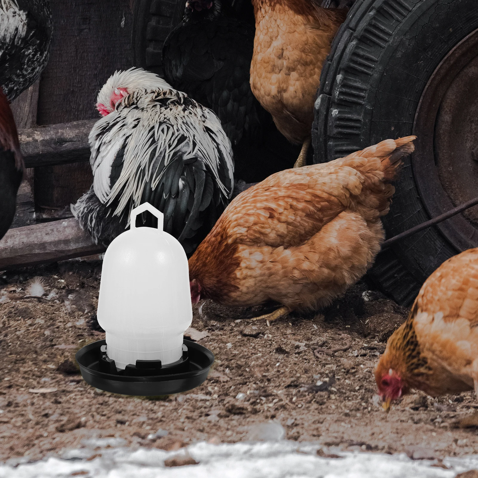 Automatic Chicken Waterer 0.75kg White Plastic Black Base Poultry Drinking Fountain Baby Chick Duck Quail Pet Supplies
Automatic Chicken Waterer 0.75kg White Plastic Black Base Poultry Drinking Fountain Baby Chick Duck Quail Pet Supplies