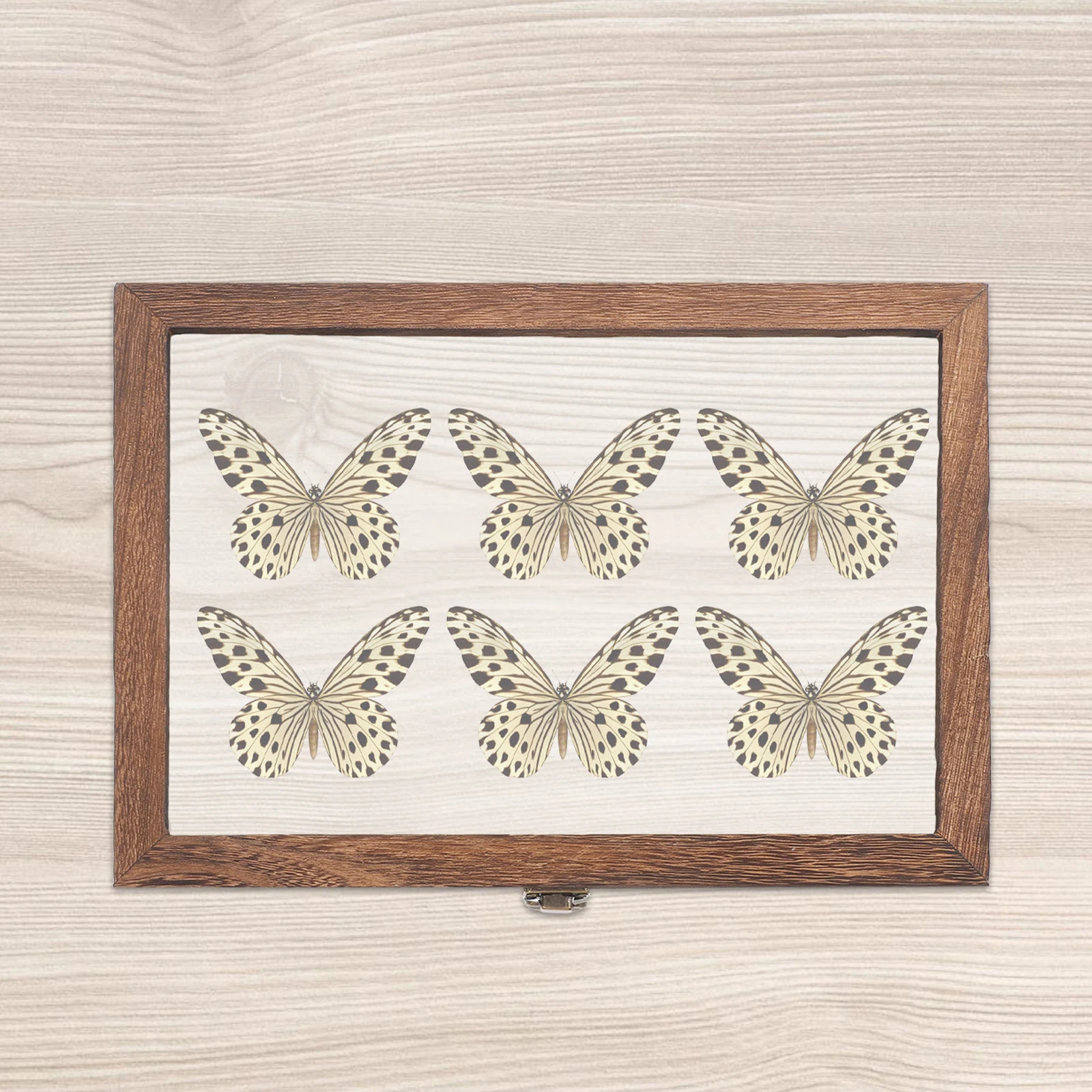 1 Set Wooden Specimen Display Box Vintage Style Natural Wood Grain Waterproof Moisture Proof Strong Lightweight Large
1 Set Wooden Specimen Display Box Vintage Style Natural Wood Grain Waterproof Moisture Proof Strong Lightweight Large