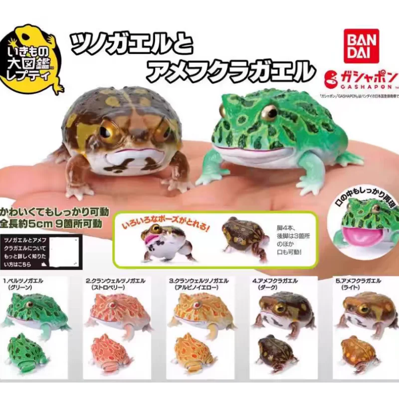 Bandai оригинальный гасяпон организм, живописная книга, Рогатая лягушка, бревицепс, адспес, фигурка, игрушки, подарок, Коллекционная модель, подарок
Bandai оригинальный гасяпон организм, живописная книга, Рогатая лягушка, бревицепс, адспес, фигурка, игрушки, подарок, Коллекционная модель, подарок