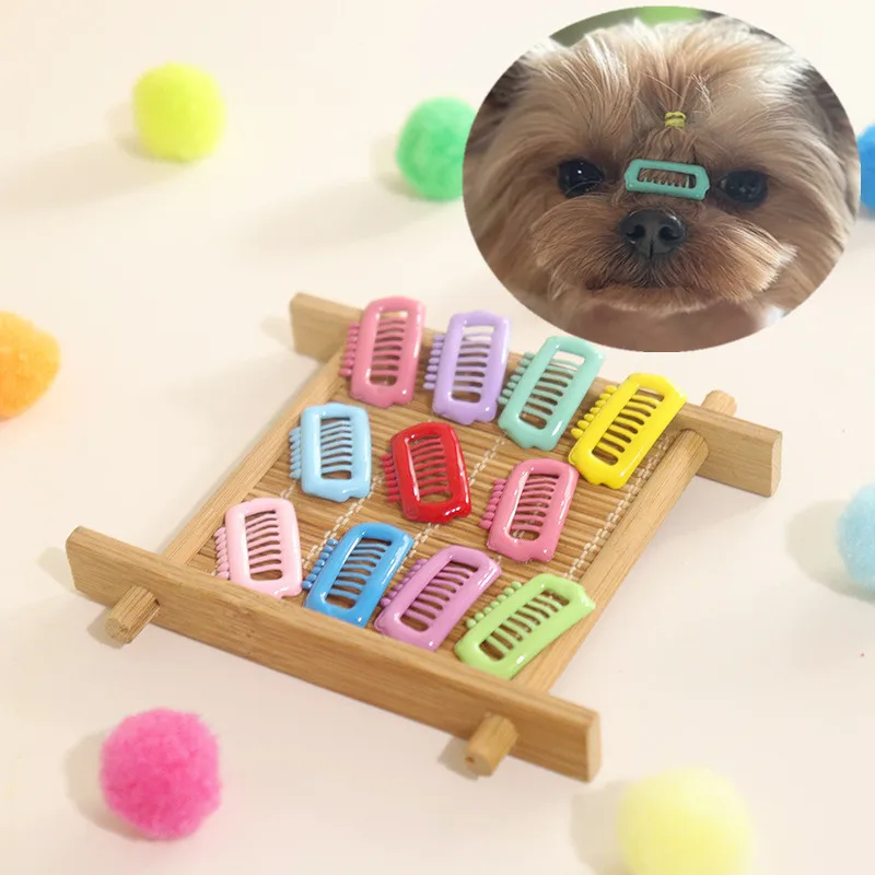 Small Dog Hair Clips Puppy Barrettes Cats BB Hairs Pin Clips Decorative Hair Clips for Chinchillas Dog Cat Head Accessories
Small Dog Hair Clips Puppy Barrettes Cats BB Hairs Pin Clips Decorative Hair Clips for Chinchillas Dog Cat Head Accessories