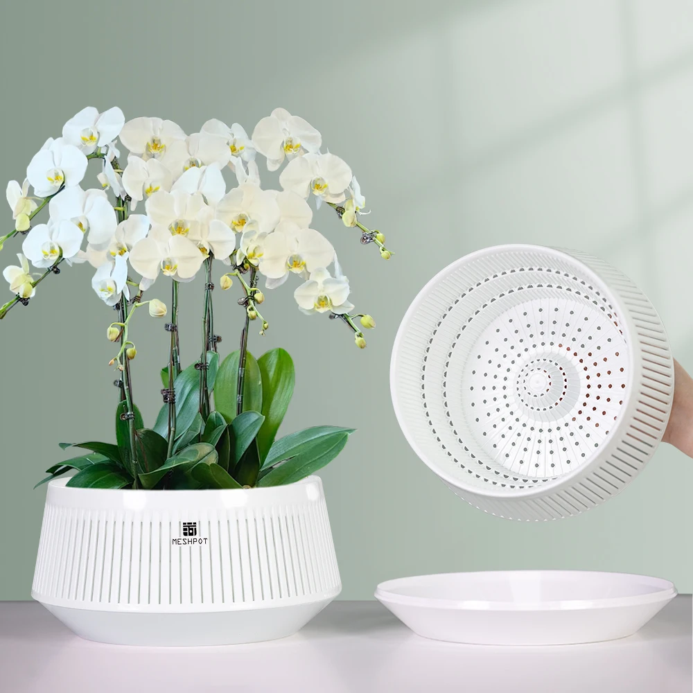 Meshpot Orchid Pot with Holes Plastic Flower Pot Decorative African Violet Pots with Air-Pruning and Good Air Circulation
Meshpot Orchid Pot with Holes Plastic Flower Pot Decorative African Violet Pots with Air-Pruning and Good Air Circulation