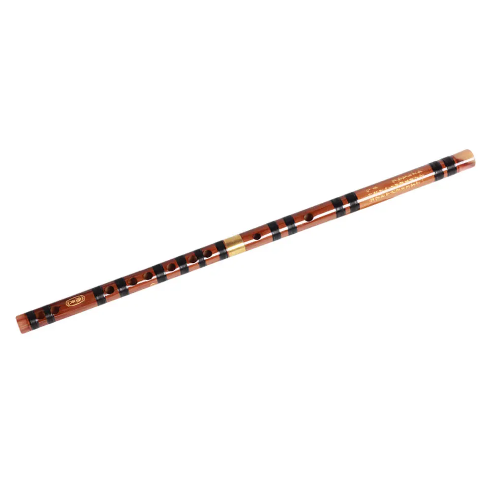 1 pc Beginner Bamboo Flute Lightweight Portable Chinese Dizi Student Wooden Flute Introductory Instrument For Students
1 pc Beginner Bamboo Flute Lightweight Portable Chinese Dizi Student Wooden Flute Introductory Instrument For Students