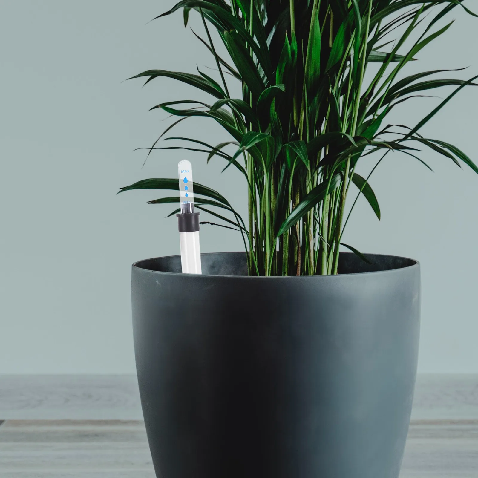 5pcs Water Level Scale Plant Watering Gauge Indicator Sticks Visible Window Float Garden Moisture Monitor Indoor Plants Meter
5pcs Water Level Scale Plant Watering Gauge Indicator Sticks Visible Window Float Garden Moisture Monitor Indoor Plants Meter