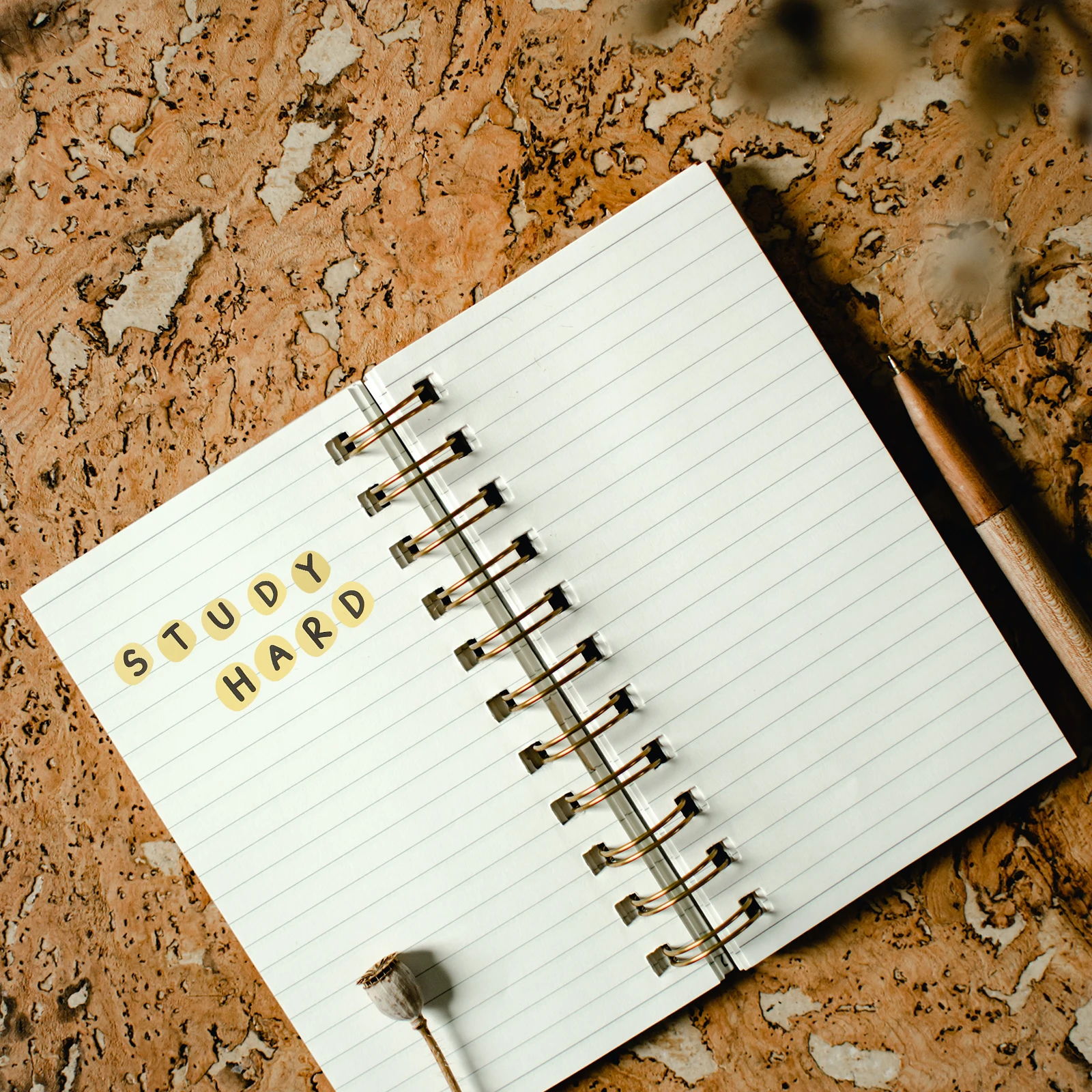 24 Sheets Stickers for Kids Letter Initial Self Adhesive Craft Decals File Child
24 Sheets Stickers for Kids Letter Initial Self Adhesive Craft Decals File Child